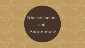 Androsterone and Etiocholanolone