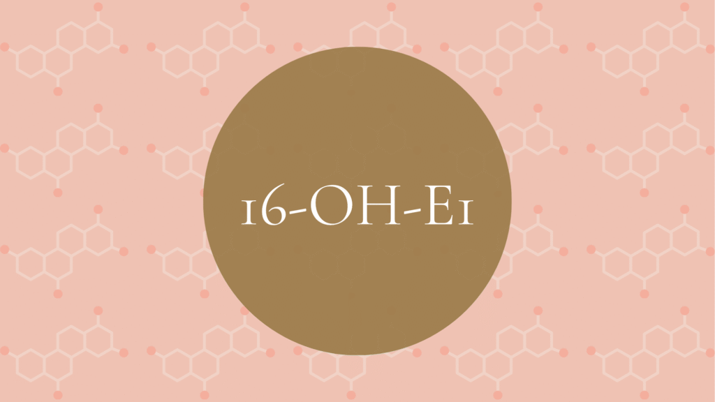 16-OH-E1