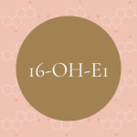 16-OH-E1