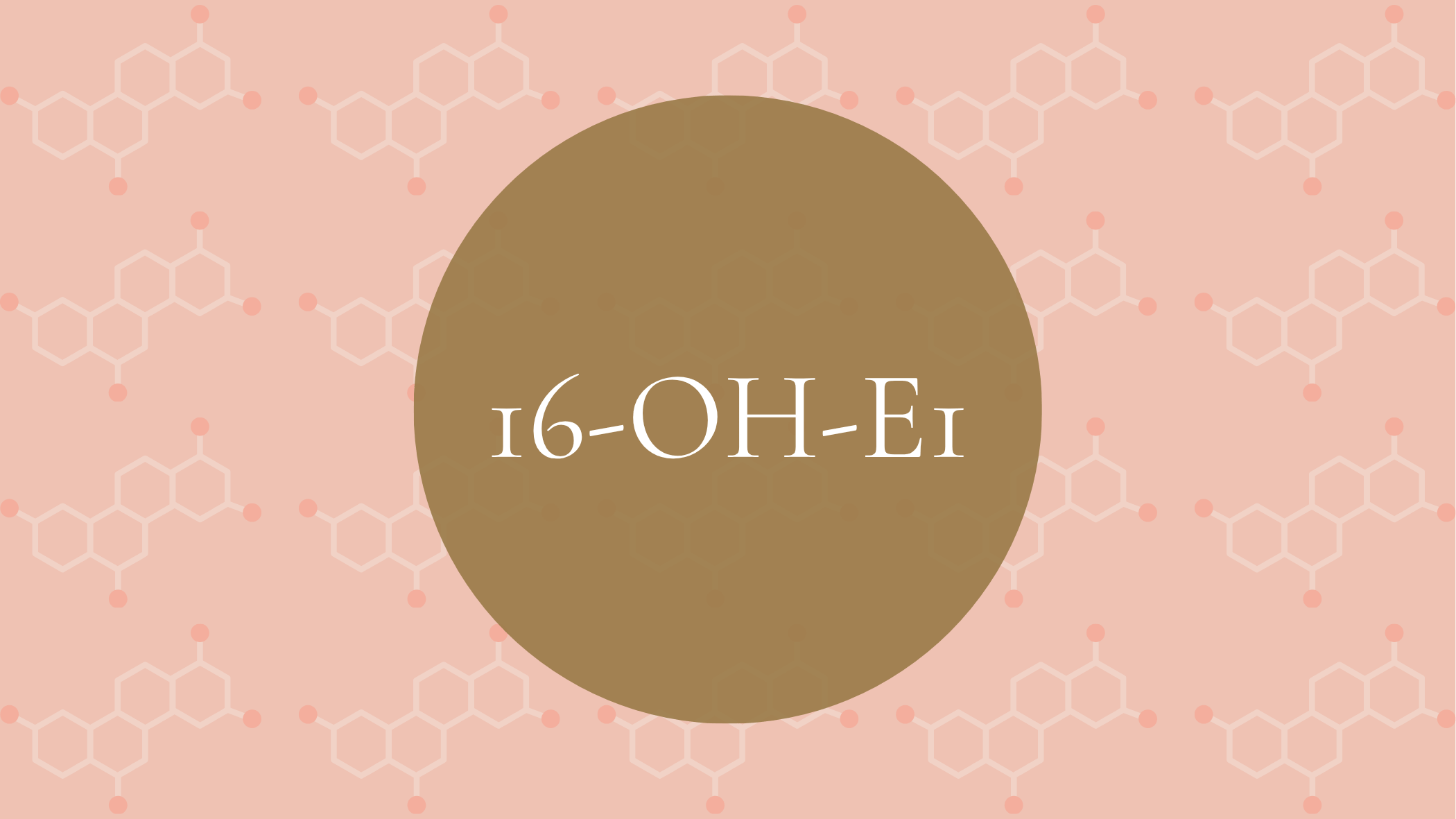 16-OH-E1