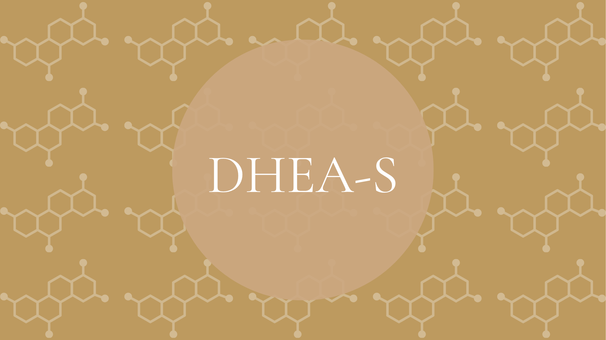 DHEA-S