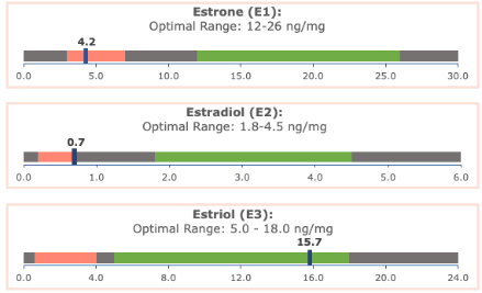A chart showing high levels of estriol (E3)