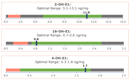 Chart showing elevated levels of 4-OH-E1