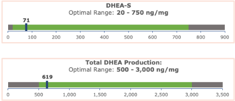 Chart showing low DHEA-S and low total DHEA production, suggesting low adrenal function.