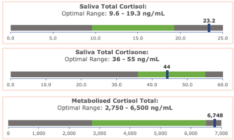 Chart showing high free and metabolised cortisol together