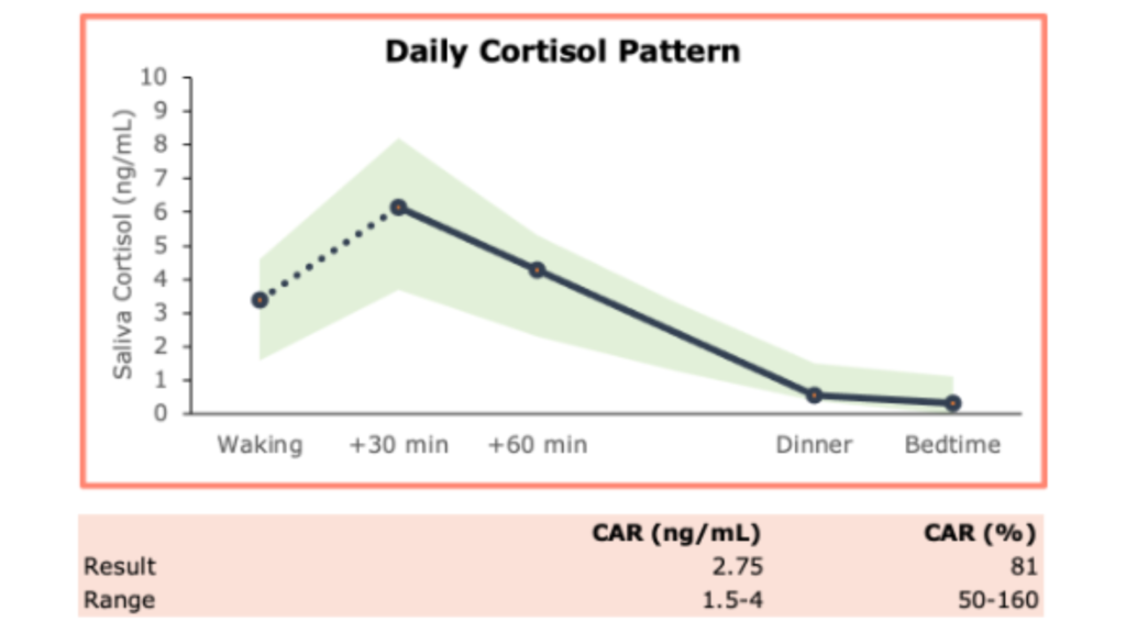 Chart showing a healthy cortisol pattern from testing