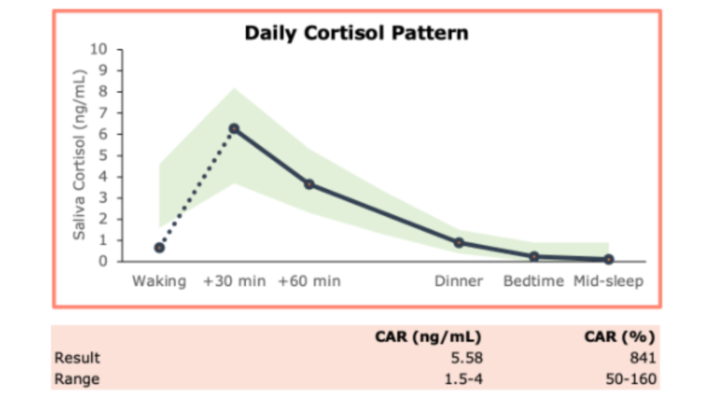 Chart showing a high cortisol awakening response