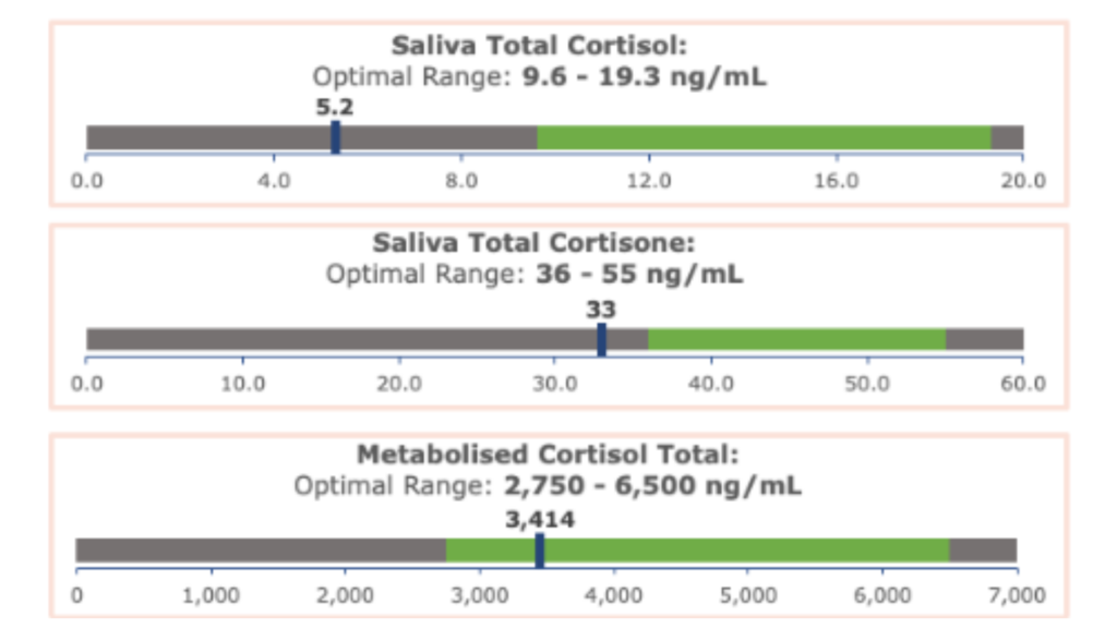 Sample report showing free cortisol, metabolised cortisol and cortisone results