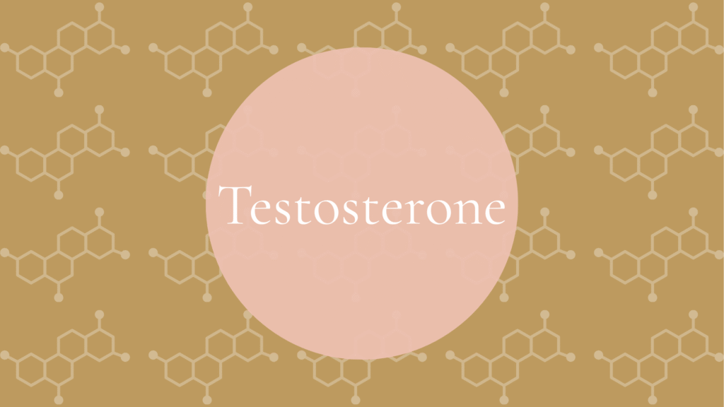 Androgens: Testosterone