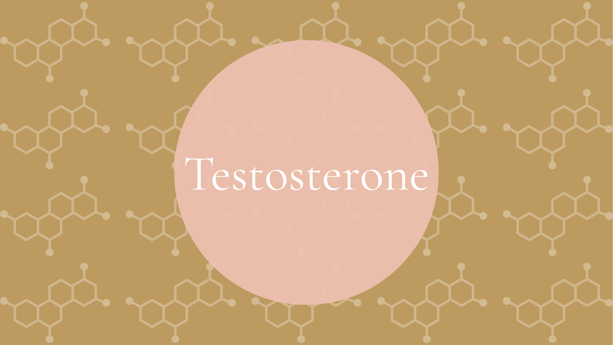 Androgens: Testosterone